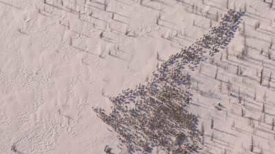 Transhumance des rennes guidés par les nomades Nénètses