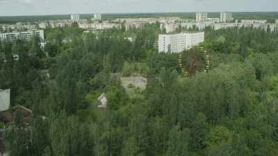 La nature reprend ses droits dans la cité désertée