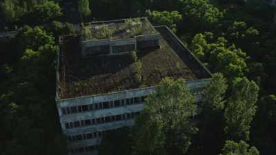 La nature reprend ses droits dans la cité désertée
