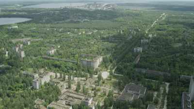 La nature reprend ses droits dans la cité désertée