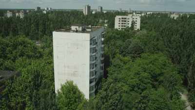 La nature reprend ses droits dans la cité désertée