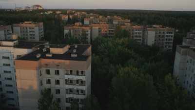 La nature reprend ses droits dans la cité désertée