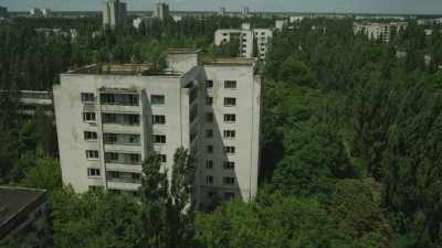 La nature reprend ses droits dans la cité désertée