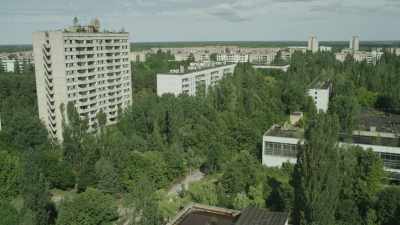 La nature reprend ses droits dans la cité désertée