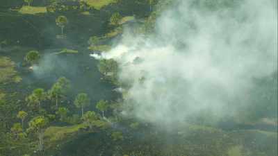 Feu de forêt,écobuage