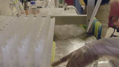 Travail dans le laboratoire de glaciologie