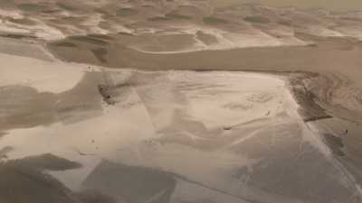 Semence de graines et culture sur le sable d'un "char"