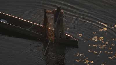 Okavango&nbsp;: Pêcheur et ses filets, touristes et éléphants