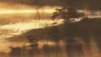 Okavango&nbsp;: Lumière dans la brume du matin