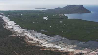 Marais salants