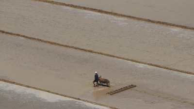 Le Nil - Dans le delta, labourage manuel avec un cheval dans les terres inondées