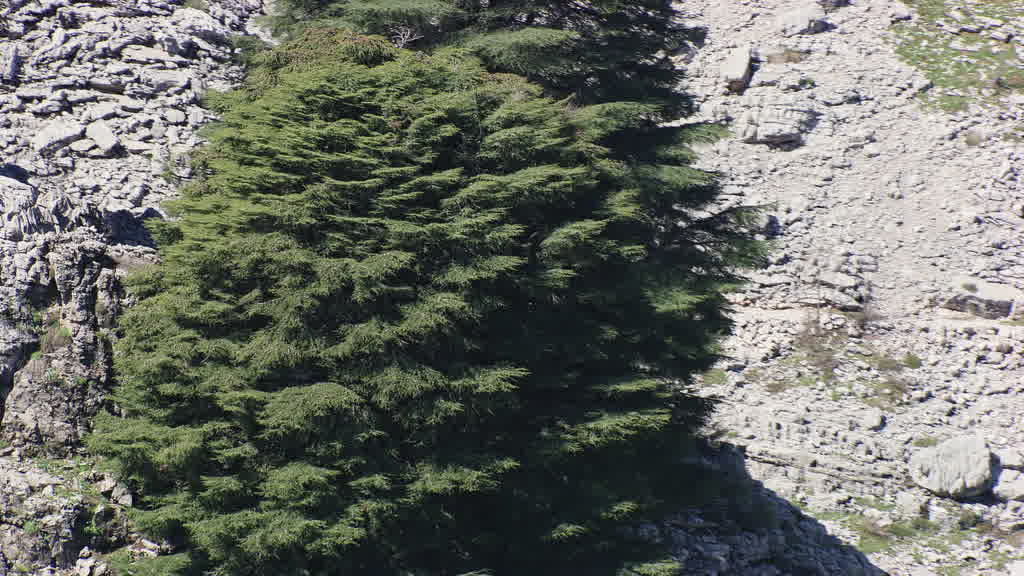 Images aériennes du Liban