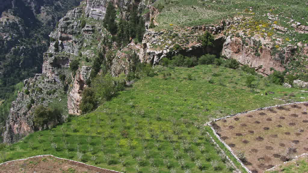 Images aériennes du Liban
