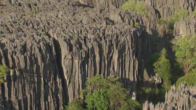 Le Parc National des  Tsingy de Bemaraha