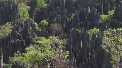 Le Parc National des  Tsingy de Bemaraha
